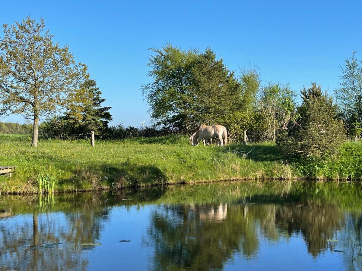 Ferienwohnung FjordViking - Urlaub auf dem Bauernhof Ringkøbing Exterior foto